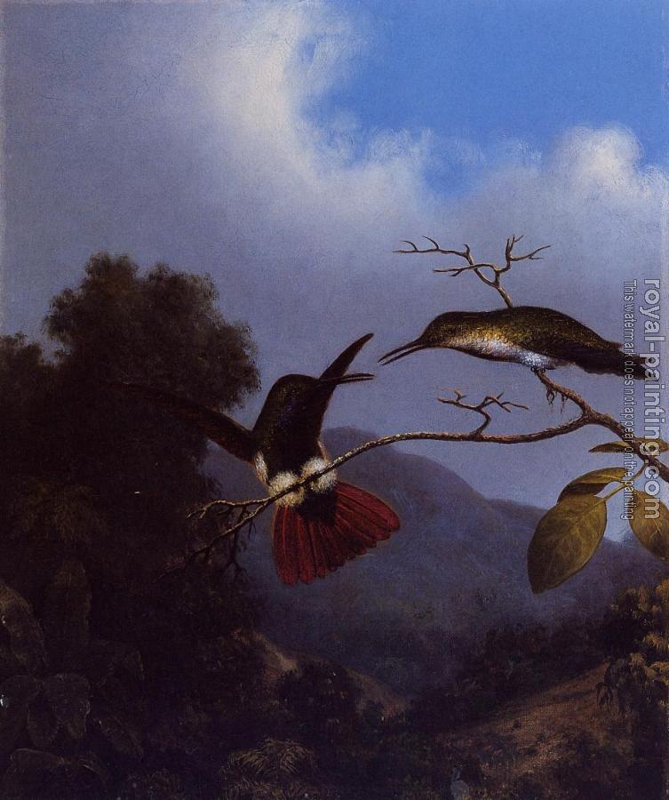 Martin Johnson Heade : Black-Throated Mango Martin Johnson Heade : Black-Throated Mango